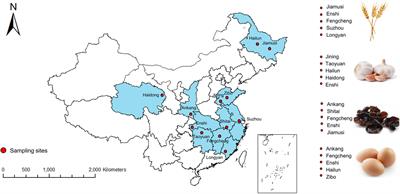 Prediction models for monitoring selenium and its associated heavy-metal accumulation in four kinds of agro-foods in seleniferous area